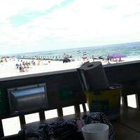 Pineapple Willy S Photos Pictures Of Pineapple Willy S